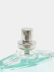 Туалетная вода мужская Absolute Aqua, 100 мл