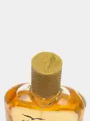 Туалетная вода мужская Delta PARFUM CrocoMAN VIP, 100 мл