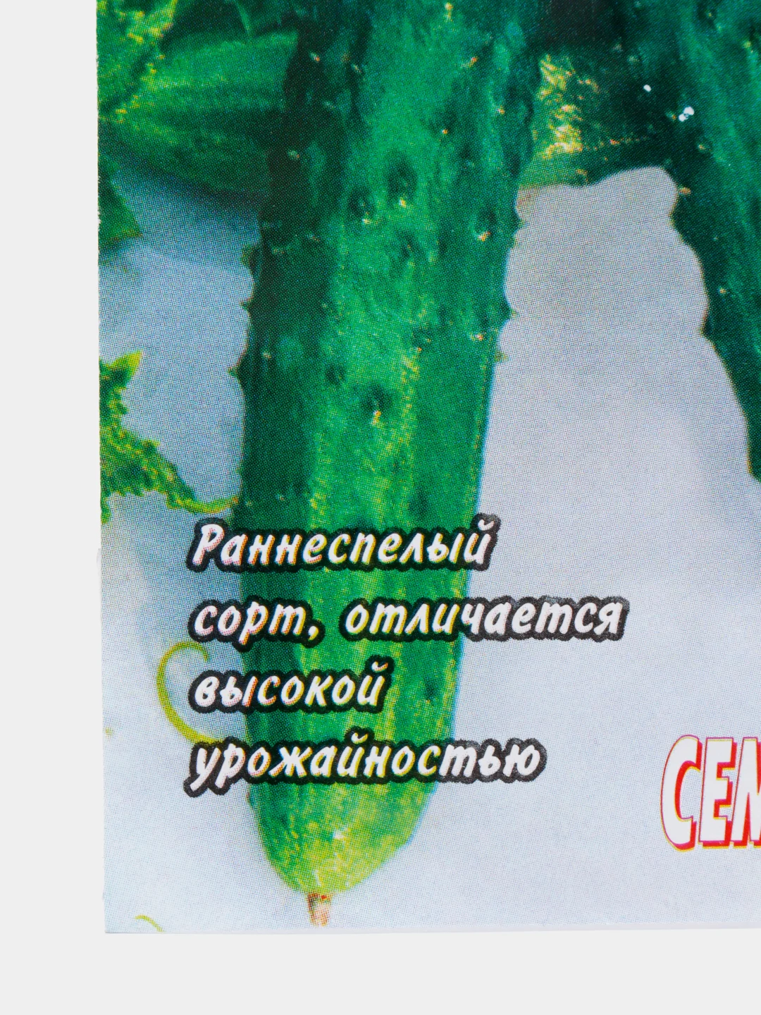 Зеленый семена огурцов, 4 сорта