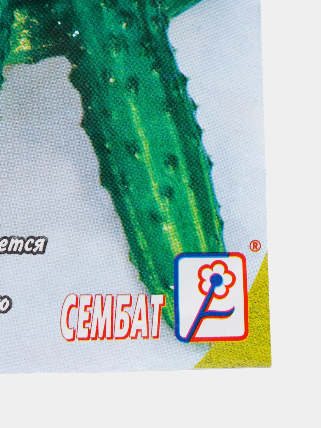 Зеленый семена огурцов, 4 сорта
