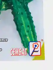 Зеленый семена огурцов, 4 сорта
