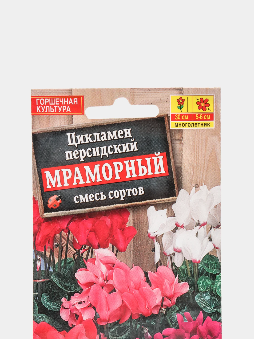 Семена цветы "Цикламен Мраморный"