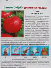 Семена Томат "Буржуй F1"