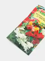 Бегония Хип хоп (семена,цветы)