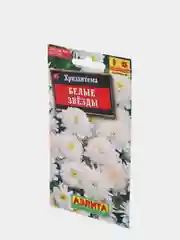 Семена цветы "Хризантема Белые звезды"