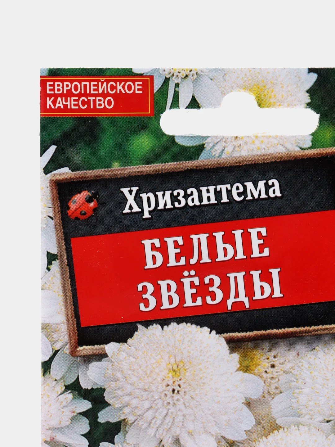 Семена цветы "Хризантема Белые звезды"