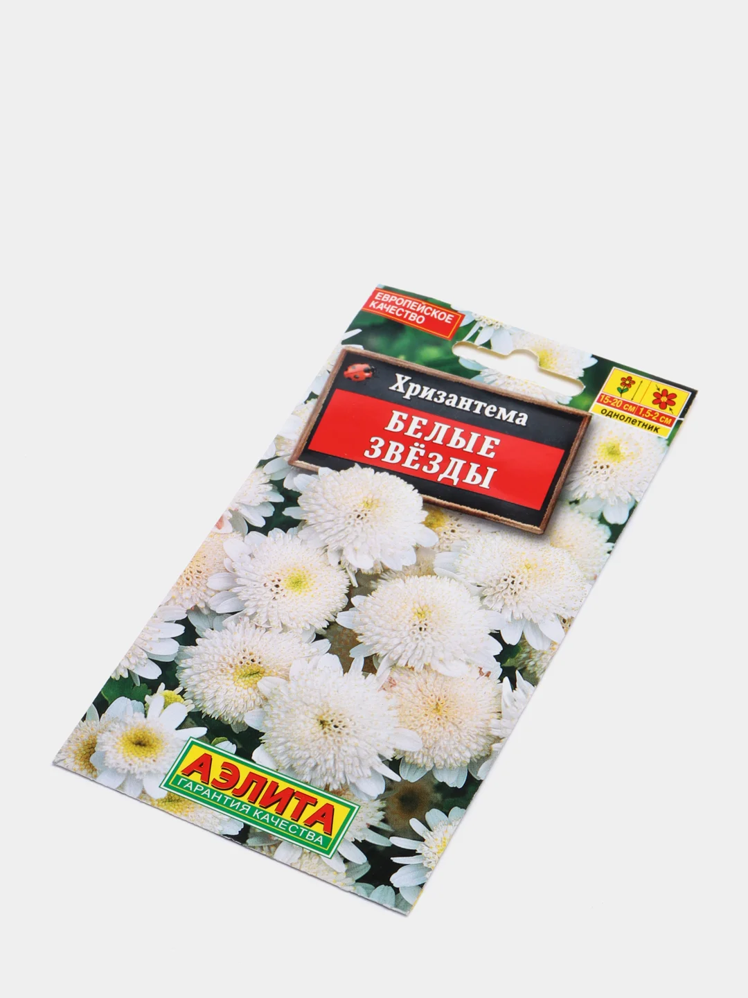 Семена цветы "Хризантема Белые звезды"