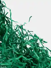 Лесной зеленый бумажная стружка - наполнитель для коробок