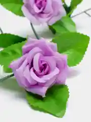 ЛИАНА С РОЗАМИ