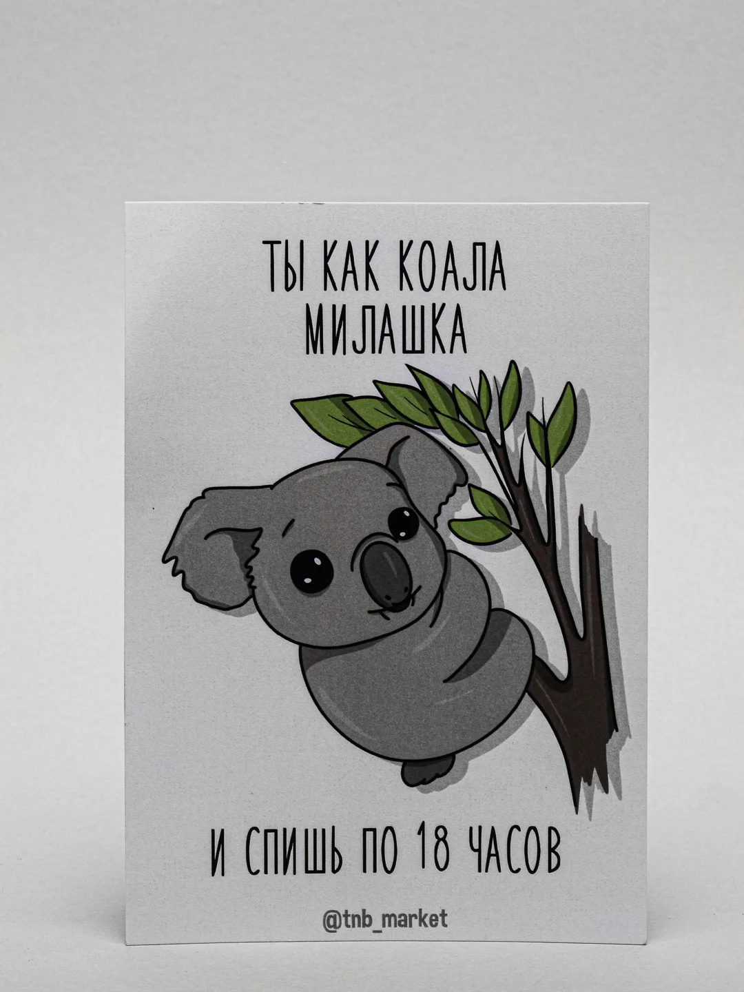 Открытка "Коала"