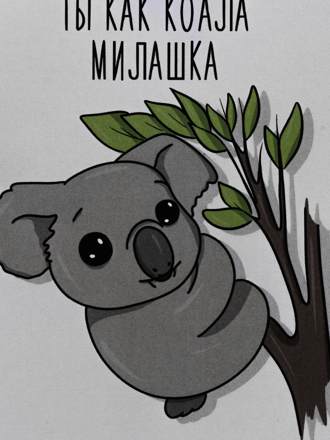 Открытка "Коала"