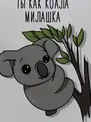 Открытка "Коала"