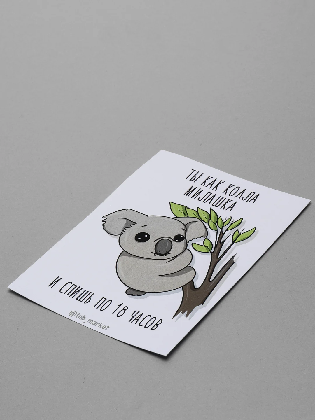 Открытка "Коала"
