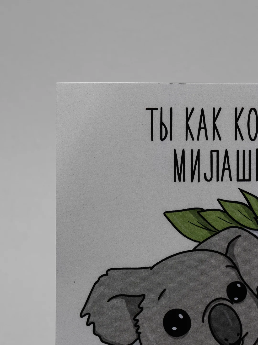 Открытка "Коала"