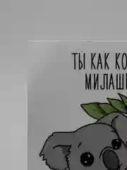 Открытка "Коала"