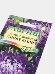 Семена,Астра "Синяя башня"