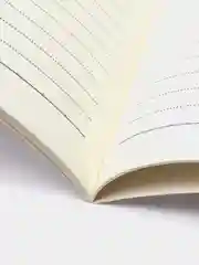 Коралловый тетрадь "B4", в линейку, ежедневник, плотная обложка, 30 л