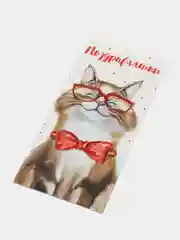 Красный конверт для денег, 16,5 х 8 см, микс
