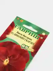 Семена Виола "Динамит Скарлет" 5 шт (Анютины глазки)