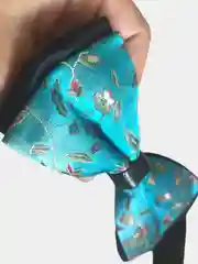 Бирюзовый бабочка с жаккардовым узором