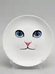 Тарелка CoolPodarok "Кошачья мордочка"