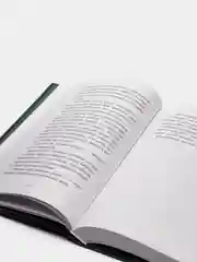 Превращение Карага (#1), Брандис Катя