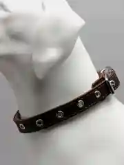 Коричневый ошейник из натуральной кожи, с подкладом из ватина, украшен горячим тиснением "Кость"