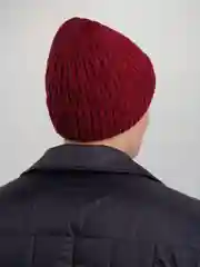 Багровый шапка мужская зимняя