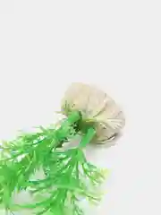 Растение искусственное аквариумное "Амбулия", 11 см, зеленая