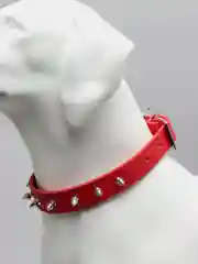 Красный ошейник с шипами для собак кошек