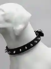Черный ошейник с шипами для собак кошек