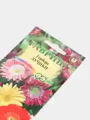 Семена цветы "Гербера Лучики"