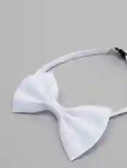 Белый бабочка для собак и кошек