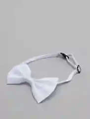 Белый бабочка для собак и кошек