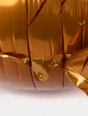 Бронзовый воздушный фольгированный шар "Динозавр"
