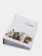Конфетный фотоальбом на 100 фотографий, 10*15 см