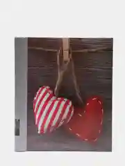 Коралловый фотоальбом на 20 магнитных листов, 23 x 28 см