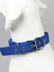 Синий нейлоновый ошейник с мягкой подложкой