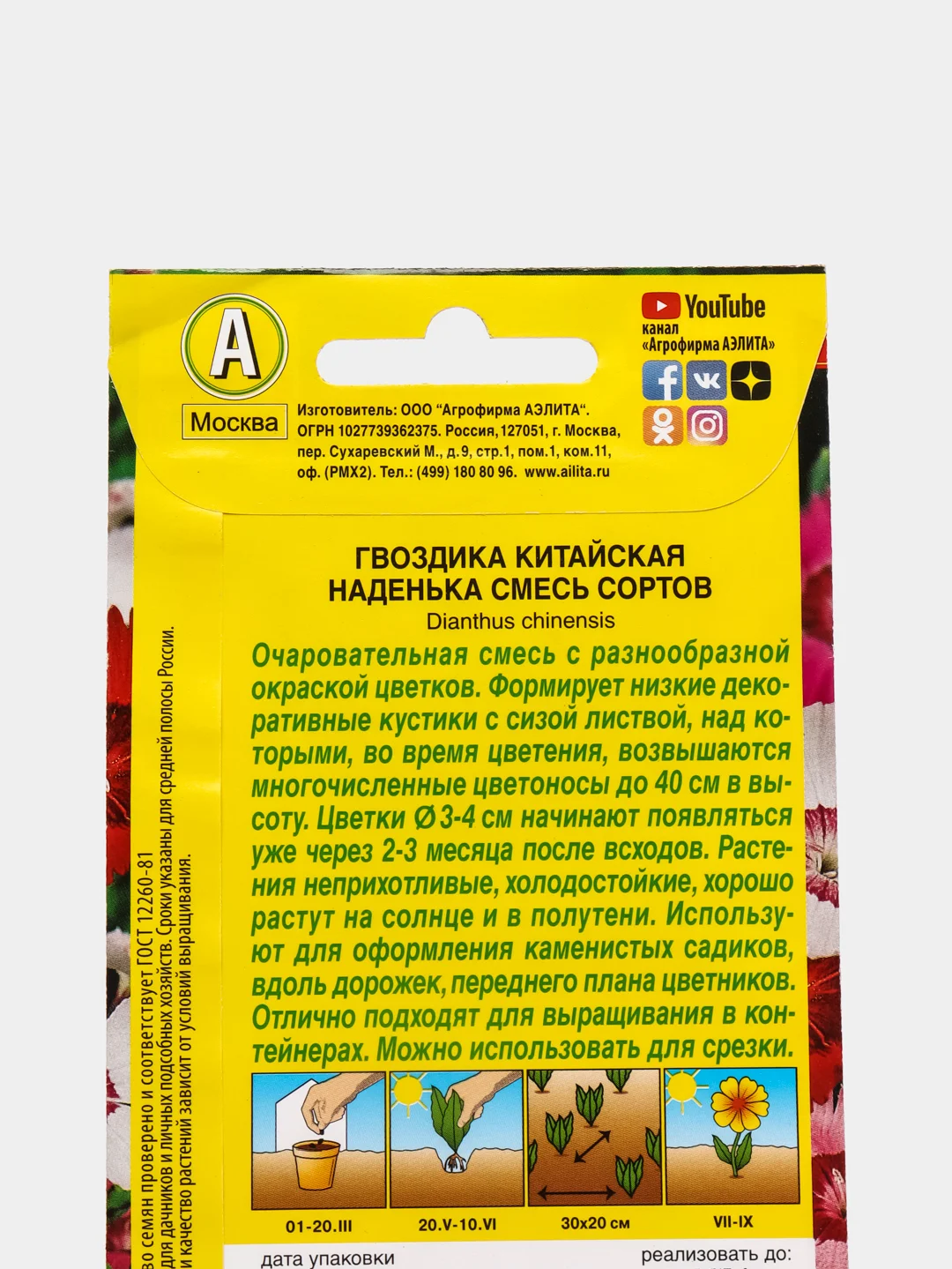 Гвоздика Наденька (семена,цветы)