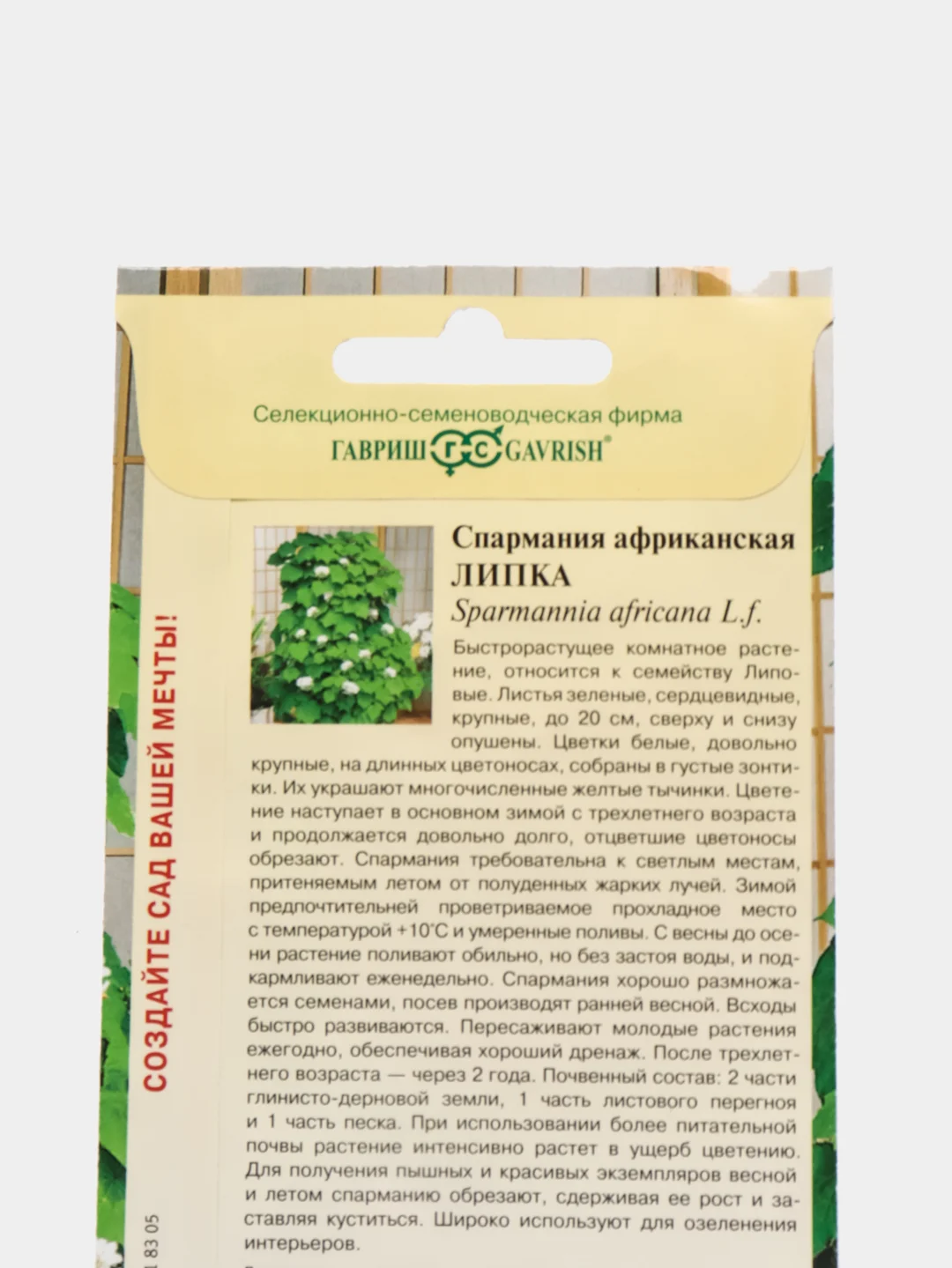 Спармания африканская Липка (семена,цветы)