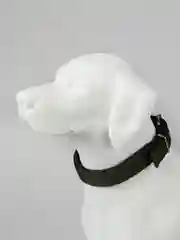 Зеленый ошейник нейлоновый, для собак и кошек, с подкладкой, разные цвета