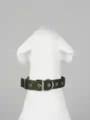 Зеленый ошейник нейлоновый, для собак и кошек, с подкладкой, разные цвета