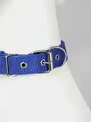 Синий ошейник нейлоновый, для собак и кошек, с подкладкой, разные цвета