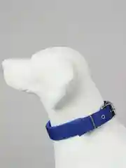 Синий ошейник нейлоновый, для собак и кошек, с подкладкой, разные цвета