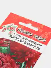 Астра Королева в красном (семена,цветы)