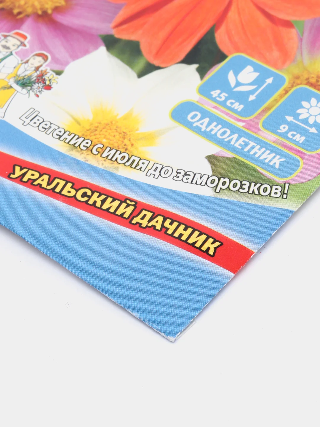 Семена цветов Георгина "Семь красавиц"