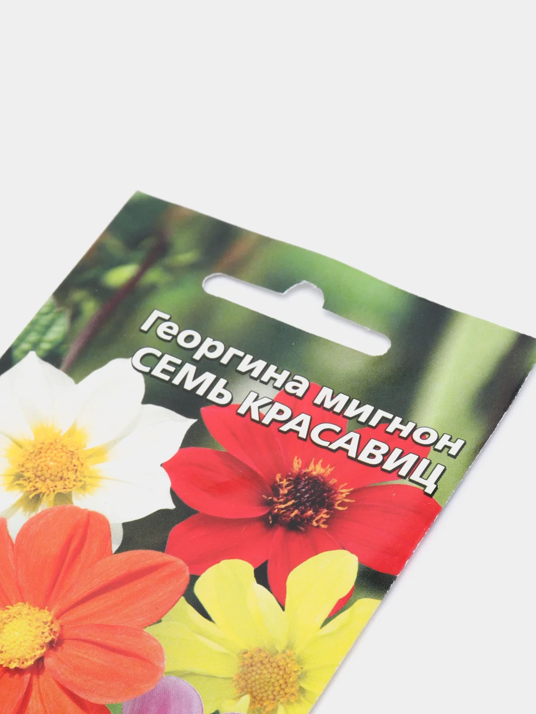 Семена цветов Георгина "Семь красавиц"
