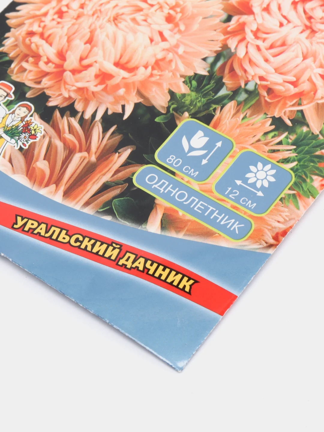 Семена цветов "Астра Алла Борисовна"