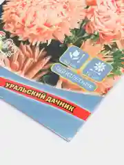 Семена цветов "Астра Алла Борисовна"
