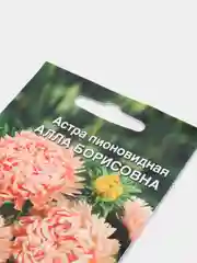 Семена цветов "Астра Алла Борисовна"